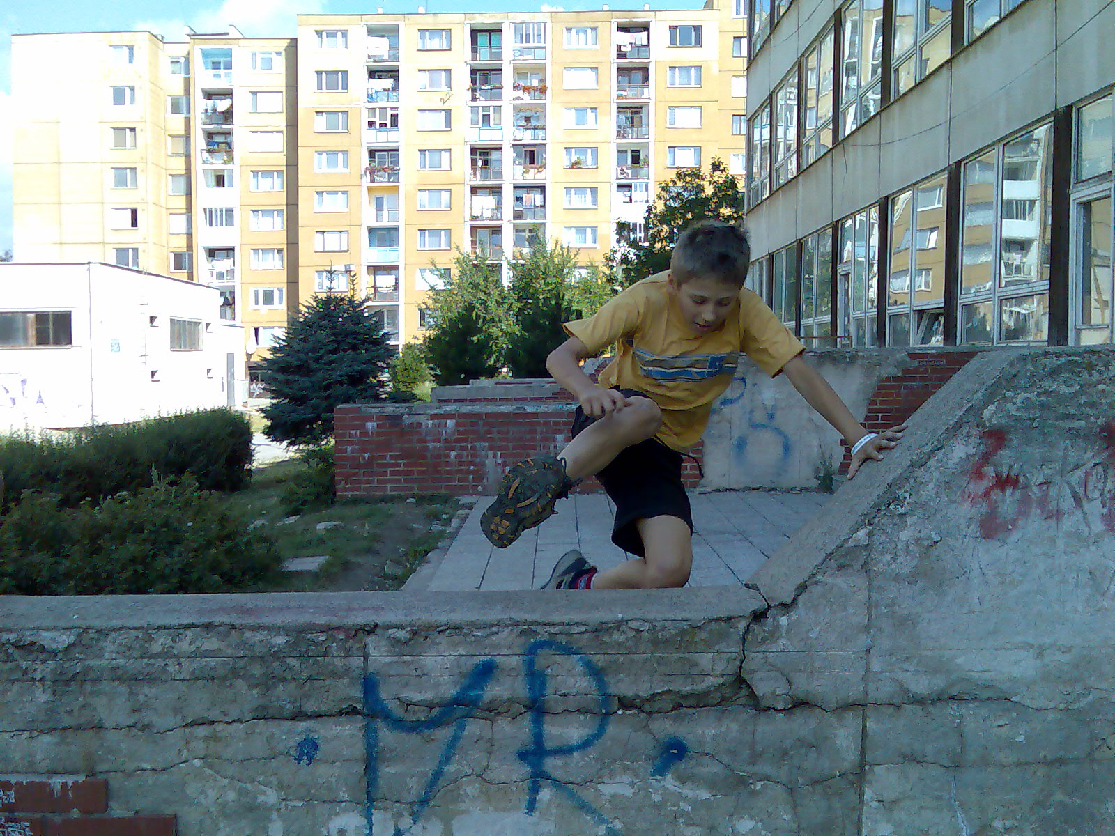 dalsief11.jpg